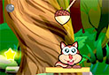 Gra Cut the Nut
