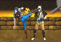 Gra Mortal Kombat Karnage